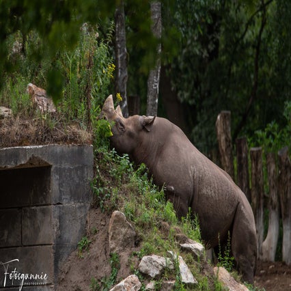 safariparkbeeksebergenjuli2023-17.jpg