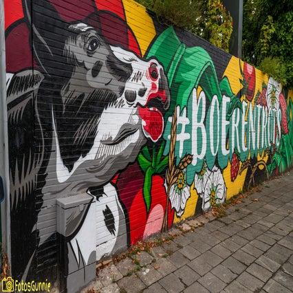 graffitiberchem-40.jpg