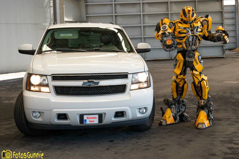 Bumblebee-13.jpg