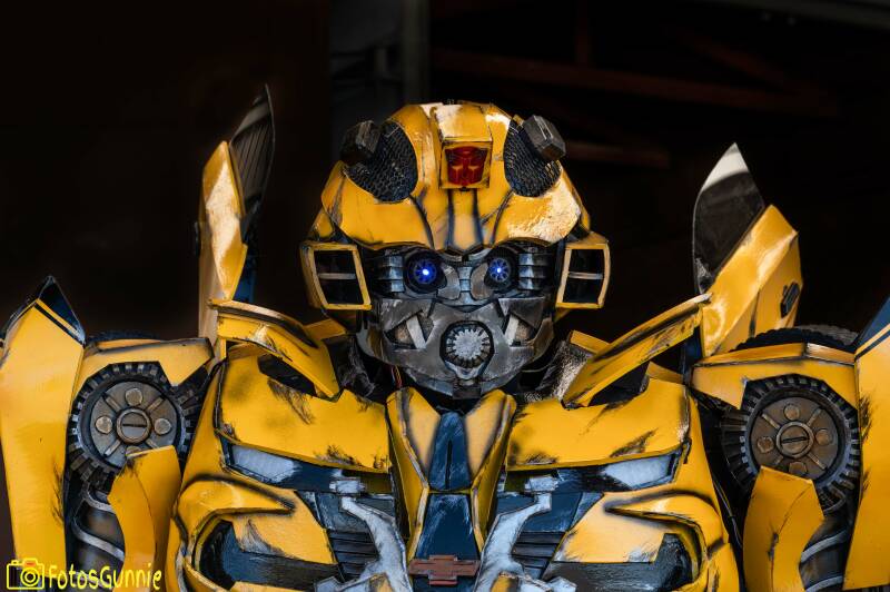 Bumblebee-2.jpg