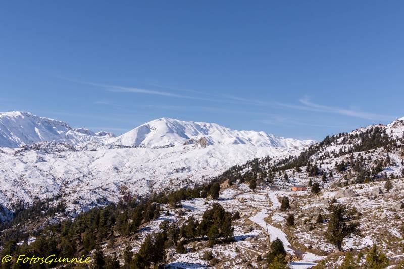 Yayla-8.jpg