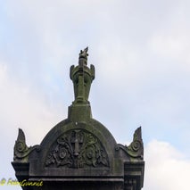 Schoonselhof-56.jpg