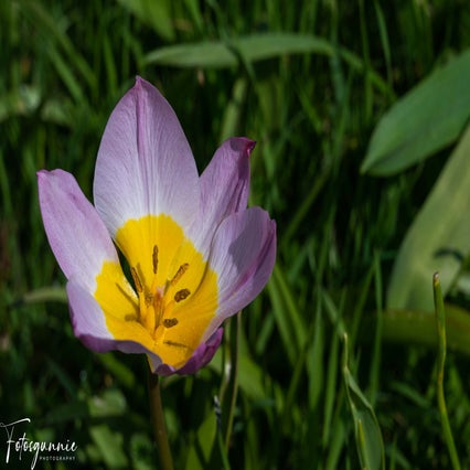 indenhofvandefluppe04-2023-4-1.jpg