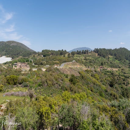 antiochia-ad-cragum-04-2024-12-standard.jpg