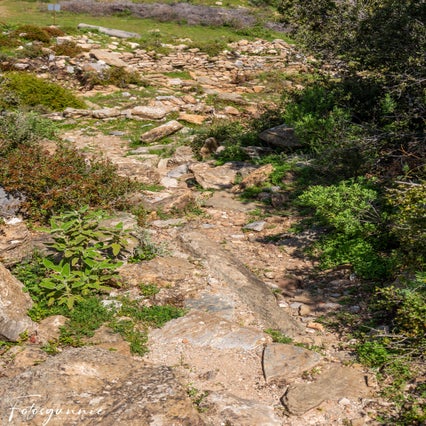 antiochia-ad-cragum-04-2024-22-standard.jpg