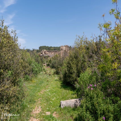 antiochia-ad-cragum-04-2024-24-standard.jpg