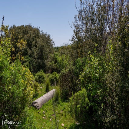 antiochia-ad-cragum-04-2024-25-standard.jpg