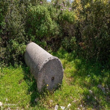 antiochia-ad-cragum-04-2024-6-standard.jpg