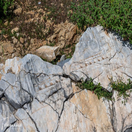antiochia-ad-cragum-04-2024-7-standard.jpg