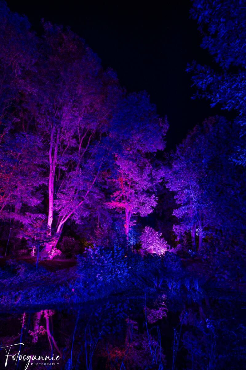 arboretumvanmerksplasnight10-2023-10.jpg