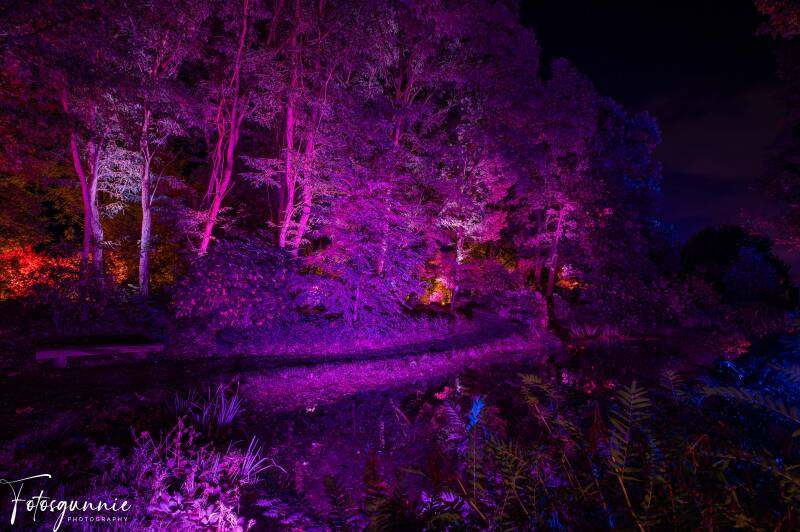 arboretumvanmerksplasnight10-2023-12.jpg