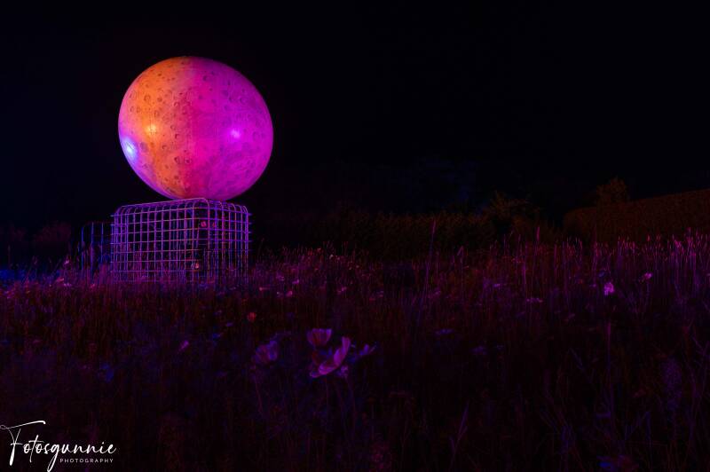 arboretumvanmerksplasnight10-2023-22.jpg