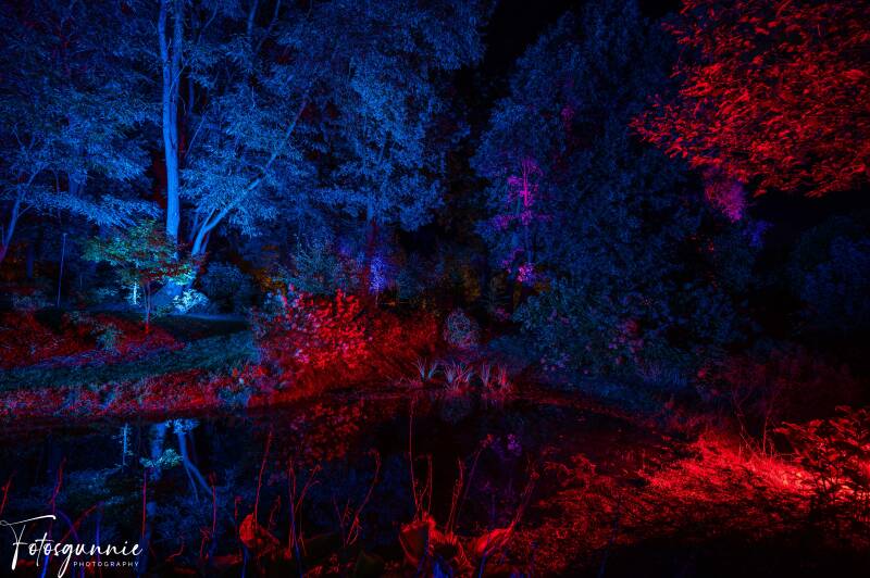 arboretumvanmerksplasnight10-2023-9.jpg