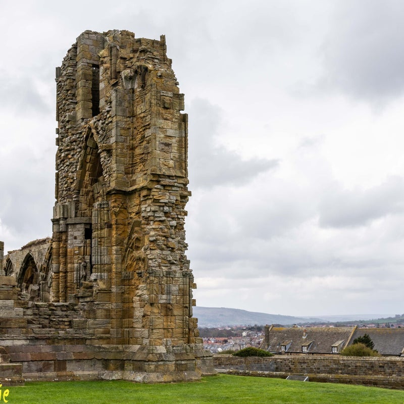 Whitbyabbey-13.jpg