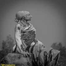 Cemeteryofthedog-4.jpg