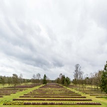 DuitsKerkhof-1.jpg