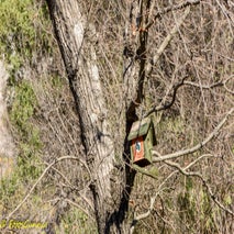 SappadereCanyon-2.jpg