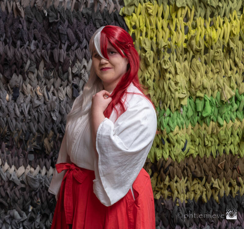cosplay-verbeke-2-standard.jpg