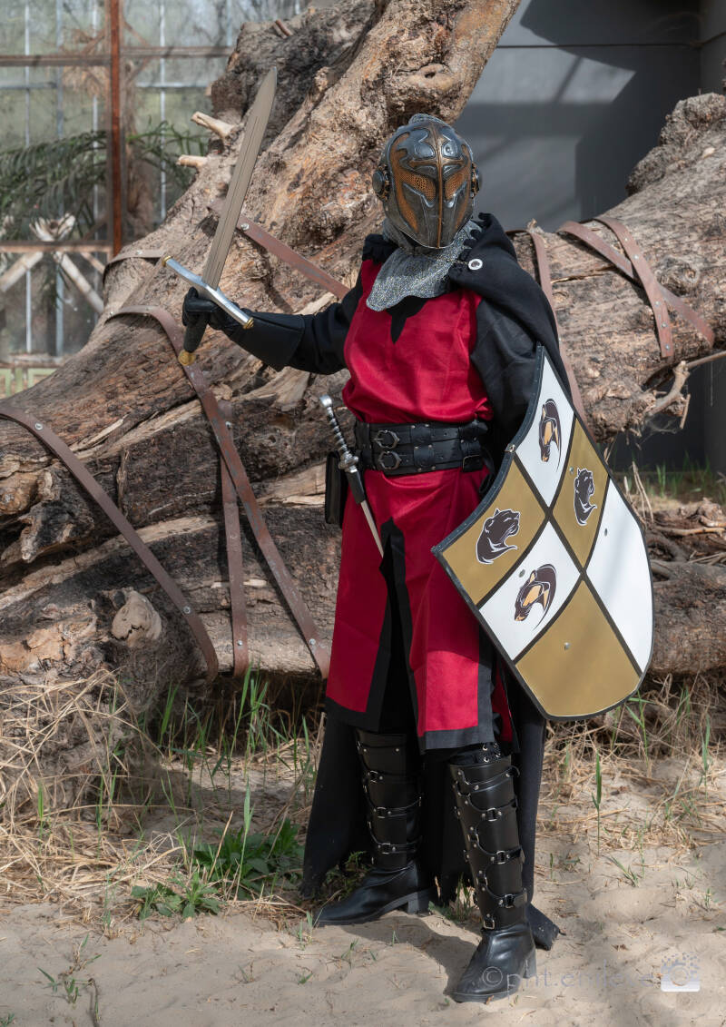 cosplay-verbeke-5-standard.jpg
