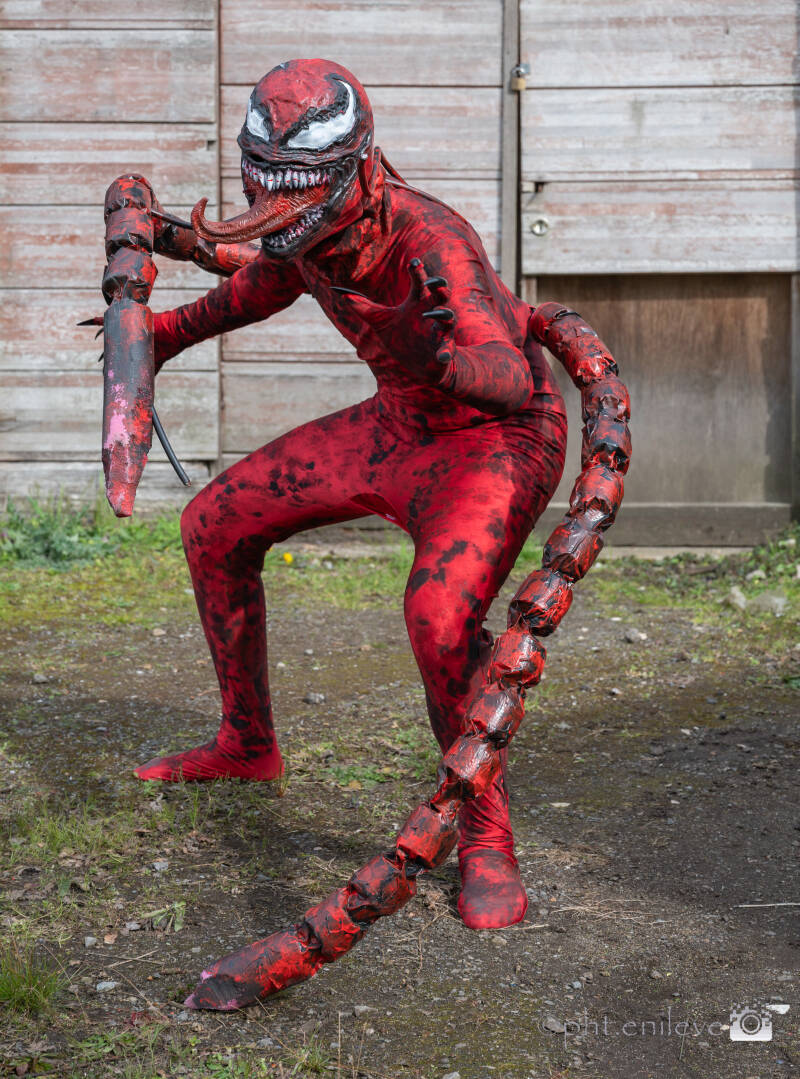 cosplay-verbeke-98-standard.jpg