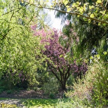 ArboretumKalmthout-25.jpg