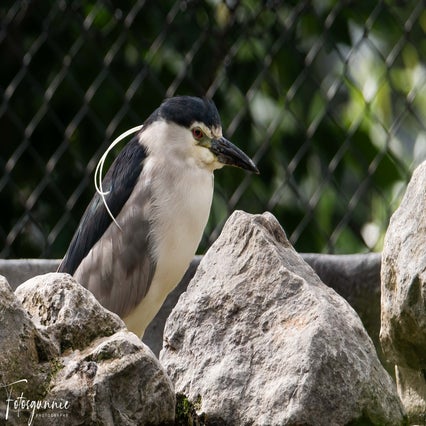 diereninzie-zoo07-2023-3.jpg