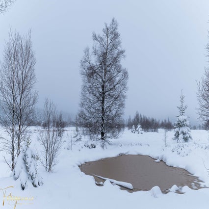 sneeuwlandschappen03-2023-2.jpg