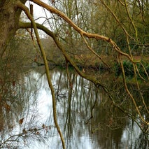 FortVanMerksem12-201411.jpg