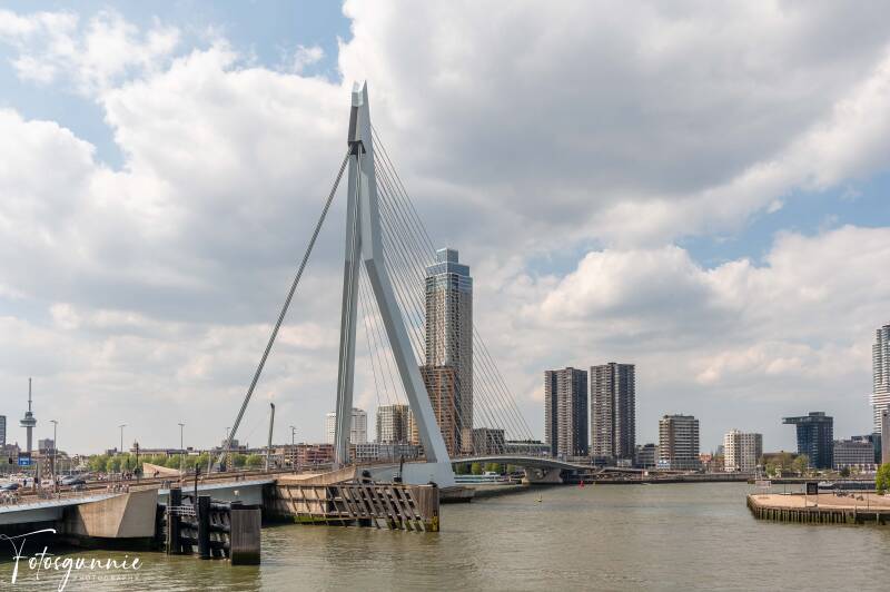 fenix-museum-en-rotterdam-05-2026-58-standard.jpg