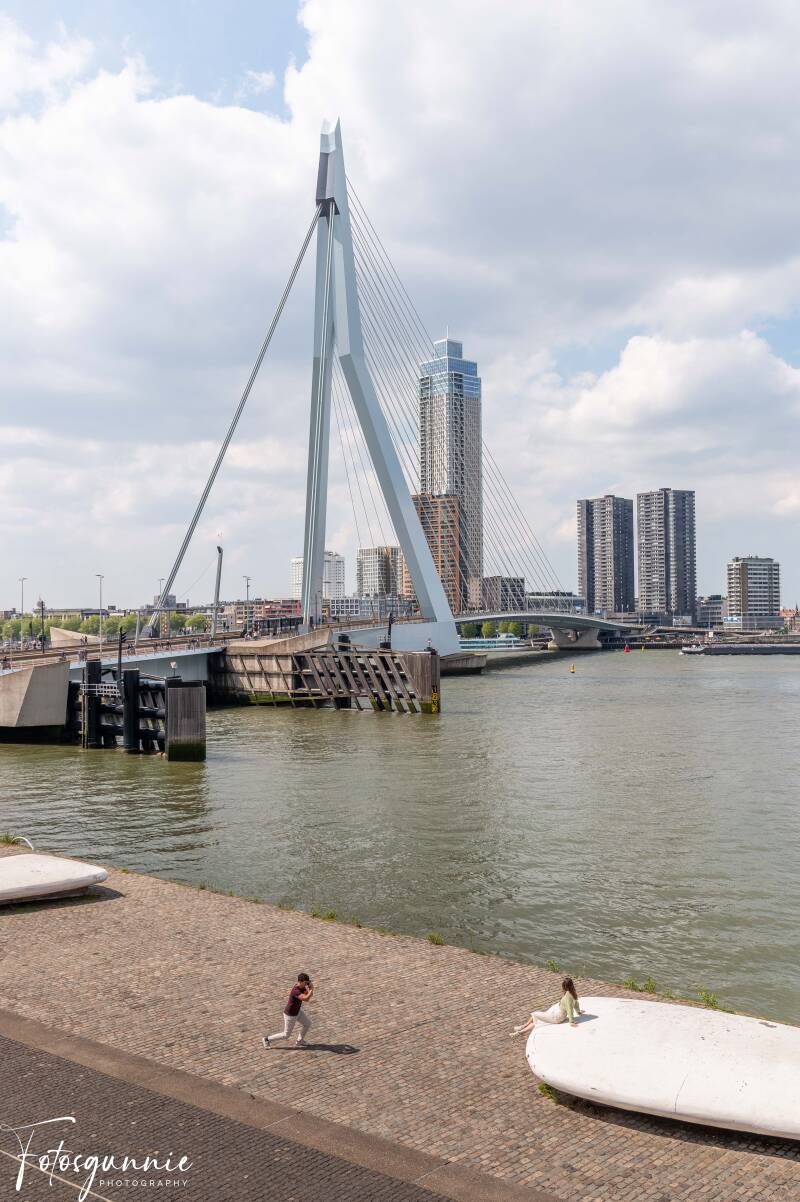 fenix-museum-en-rotterdam-05-2026-59-standard.jpg