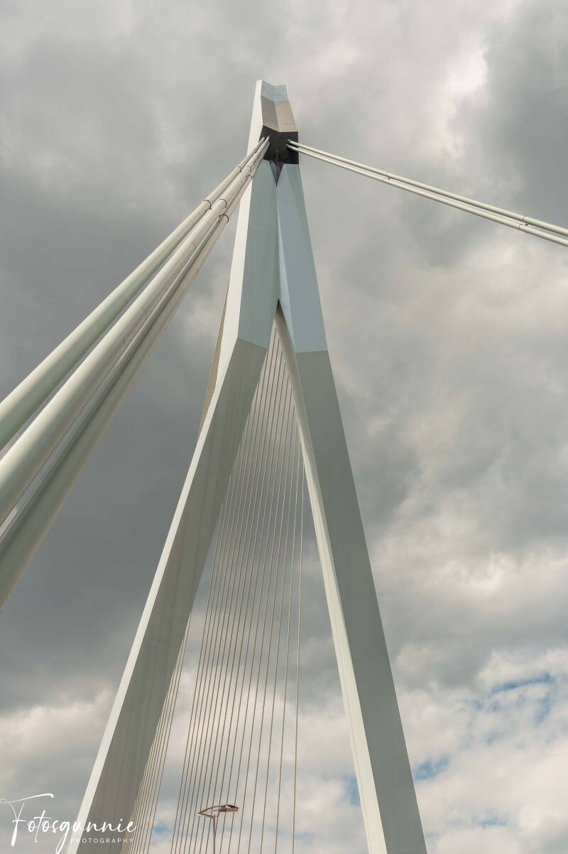 fenix-museum-en-rotterdam-05-2026-64-standard.jpg