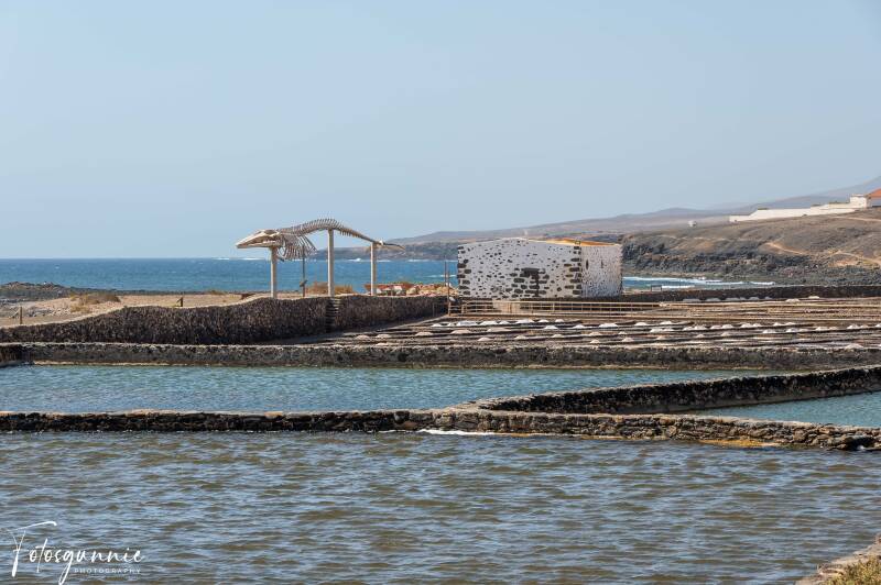 fuerteventura-09-2025-2-standard.jpg