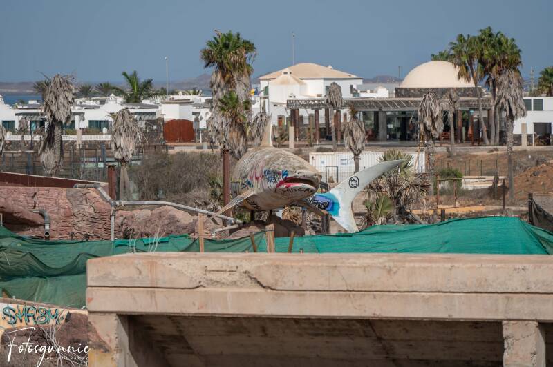 fuerteventura-09-2025-32-standard.jpg