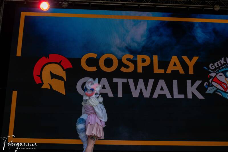 geek-village-zondag-sfeer-en-catwalk-08-2025-35-standard.jpg