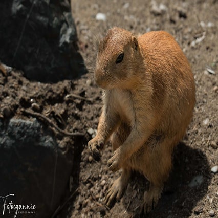 diereninzie-zoo07-2023-59.jpg