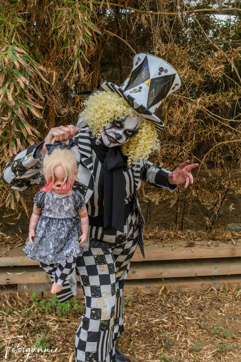 halloween-verbeke-10-2025-1-standard-f40nu6.jpg