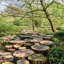 ArboretumKalmthout-31.jpg