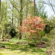 ArboretumKalmthout-18.jpg