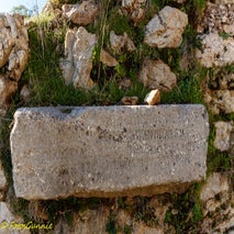 AntikcitySyenda-30.jpg