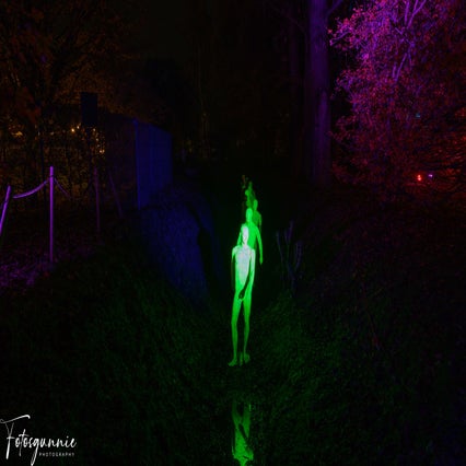 luminate-11-2024-1-standard.jpg