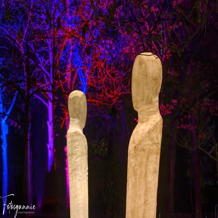 luminate-11-2024-13-standard.jpg
