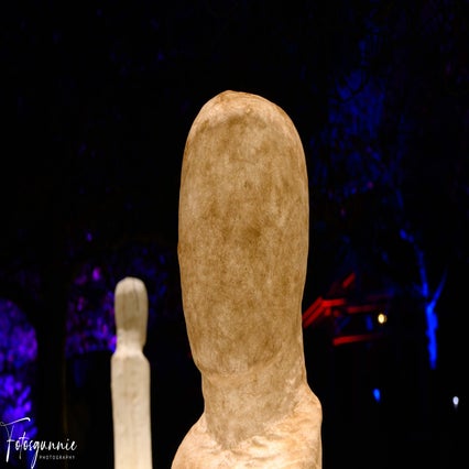 luminate-11-2024-14-standard.jpg