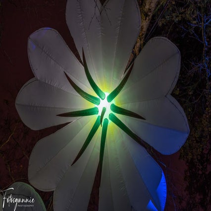 luminate-11-2024-18-standard.jpg