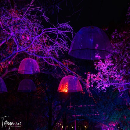 luminate-11-2024-19-standard.jpg