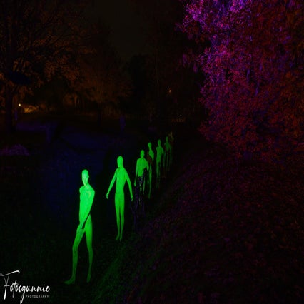 luminate-11-2024-2-standard.jpg