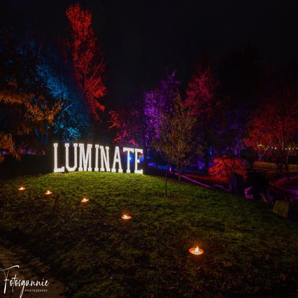 luminate-11-2024-3-standard.jpg