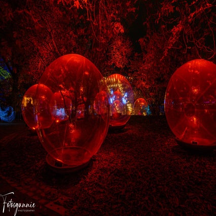 luminate-11-2024-4-standard.jpg