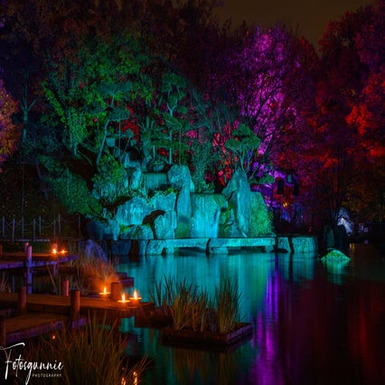 luminate-11-2024-5-standard.jpg