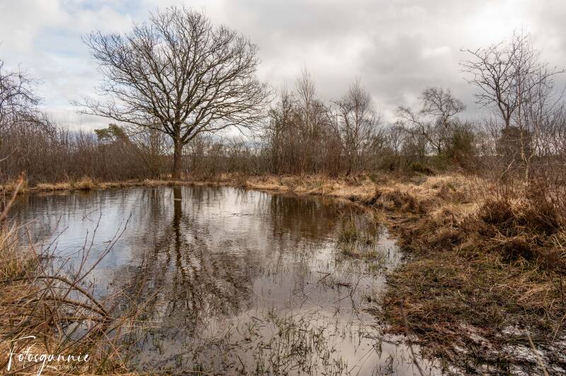 met-focus4art-naar-fagne-sacraw-02-2026-6-standard.jpg