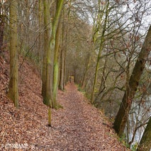 FortVanMerksem12-201412.jpg